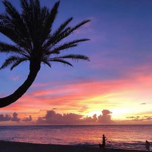 一本大道香蕉久伊5在线
