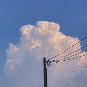 一本大道香蕉久伊5在线
